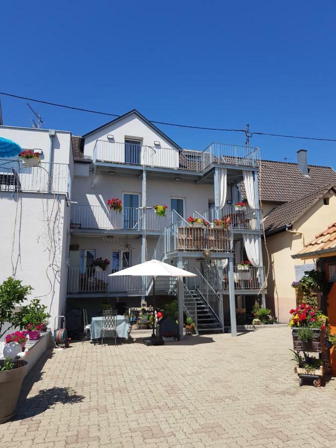 דירות Horbourg Au Gre De L'Ill 'L'Ill' מראה חיצוני תמונה