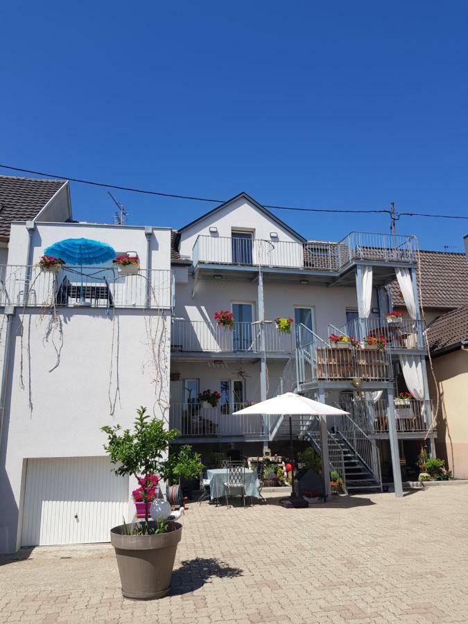 דירות Horbourg Au Gre De L'Ill 'L'Ill' מראה חיצוני תמונה